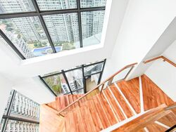 Lucida (D11), Apartment #512554611